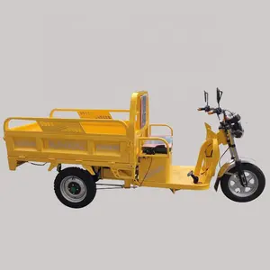 चीन निर्माता मजबूत शक्ति कार्गो Tricycle 3 पहिया ऊपर उठा लिया कार्गो टुक टुक रिक्शा मादक द्रव्य बिजली Tricycle