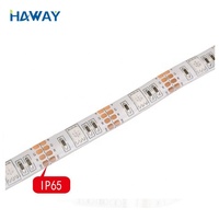 Tira de Luces LED RGB 5050 de 12V CC con Controlador USB, Programable, Control Remoto Universal, Venta al Por Mayor de Fábrica, Buena Calidad