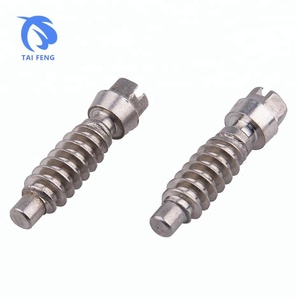 Tornillo autorroscante <span class=keywords><strong>de</strong></span> tornillo sinfín principal especial <span class=keywords><strong>de</strong></span> alta calidad del <span class=keywords><strong>acero</strong></span> <span class=keywords><strong>inoxidable</strong></span> - Product Image 3