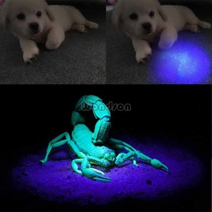 410nm Night Camping <span class=keywords><strong>51</strong></span> <span class=keywords><strong>LED</strong></span> High Violet Scorpion Hunting Torch <span class=keywords><strong>UV</strong></span> <span class=keywords><strong>LED</strong></span> torcia
