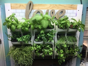 Intérieur jardinières verticales pour tenture murale plantes jardin d'herbes aromatiques - Product Image 3