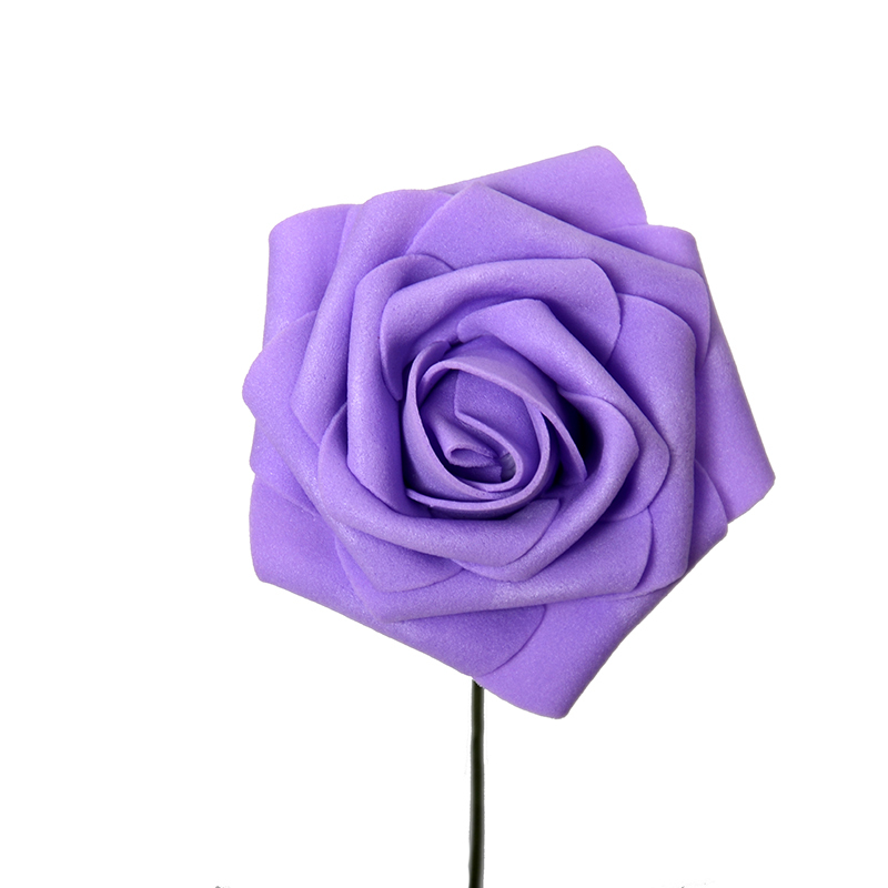 Viola