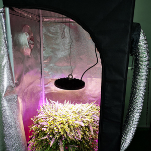 100 w UFO Plein Spectre Led Élèvent La Lumière Pour Les Plantes D'intérieur En Croissance Et Floraison SMD 3030 A MENÉ LA Lampe De Croissance - Product Image 6