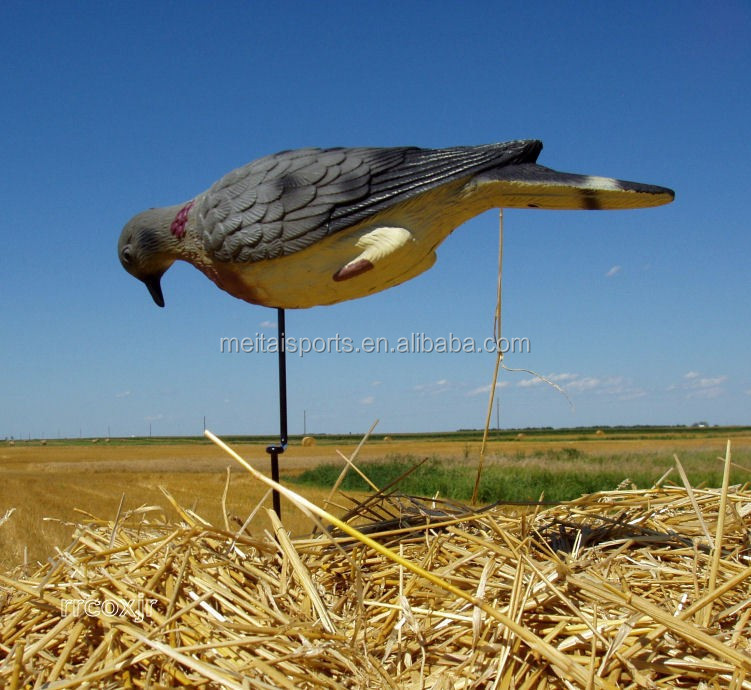 Кормление плаут голубь dedoys с колышкой