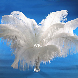 <span class=keywords><strong>Plumes</strong></span> d'autruche noires 28-30 pouces/70-75 cm, décoration économique, <span class=keywords><strong>plumes</strong></span> d'autruche blanchies - Product Image 5