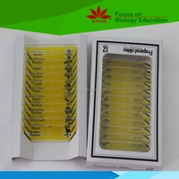 Plastic Microscope Prepared Slides Educational Teaching Aids 12 pcs Plant Flower for Kids