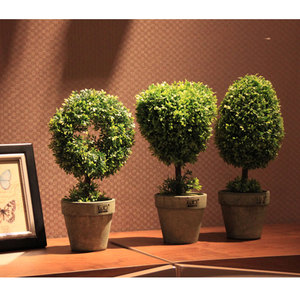 Büyük bahçe tatil yaşam açık dekorasyon topiary bitkiler