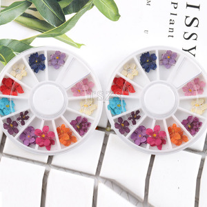 TSZS 12 color seca <span class=keywords><strong>Flor</strong></span> <span class=keywords><strong>de</strong></span> <span class=keywords><strong>uñas</strong></span> arte flores secas para <span class=keywords><strong>uñas</strong></span> decoraciones - Product Image 2