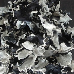 Noires séchées <span class=keywords><strong>champignon</strong></span> oreille/gelée de champignons comestibles/les champignons noirs/champignons oreille bois - Product Image 6