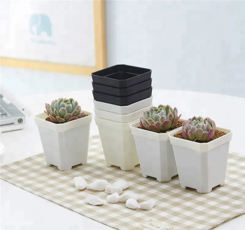 Wholesale Mini Plastic Flower Pot Succulent Plant Flowerpot For Home Office A