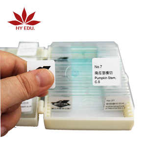 <span class=keywords><strong>De</strong></span> elementos fijos 100 piezas <span class=keywords><strong>de</strong></span> alta calidad mezclado Zoología y Botánica preparado microscopio diapositivas conjunto - Product Image 4