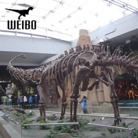 Squelette de dinosaure réaliste en fibre de verre, modèle fossile avec structure métallique en acier, pour exposition éducative intérieure et extérieure