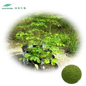 Thành phần Moringa oleifera lá bột, Moringa oleifera lá chiết xuất - Product Image 6