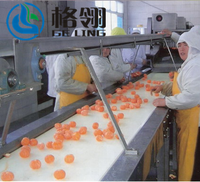 Vruchtensap Concentratie Machine Appelsap Tomatensap Productielijn