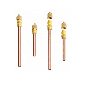 Soupape d'accès de <span class=keywords><strong>charge</strong></span> de réfrigérant de haute qualité pour équipement de réfrigération - Product Image 3
