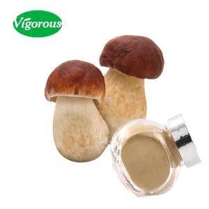 ที่มีคุณภาพสูงสารสกัดจาก Porcini/ธรรมชาติสารสกัดจาก Porcino/ราคาที่ดีที่สุด Boletus Edulis สารสกัดจาก