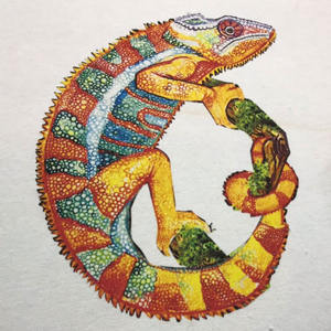 Tinta têxtil branca da tinta têxtil do branco da venda superior mesmo que du-pont dtg com solução líquida do pré-tratamento/limpeza - Product Image 4