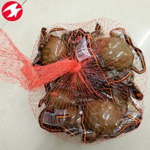 Plastic Bag Fruit Packaging Net