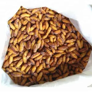 Discounted price food silkworm on sale