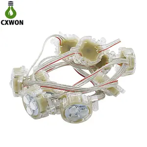 DC12V 8206 IC Diameter 30 Mm SMD 5050 RGB 3 Led Dapat Diatur Tahan Air IP68 Pixel Pencahayaan Titik