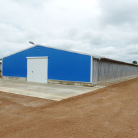 Steel Structure Building Chicken Shed Poultry Farm Mobile Chicken House