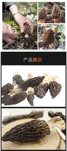 फैक्टरी मूल्य थोक मशरूम Morel मशरूम खेत काले Morel - Product Image 3
