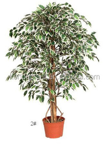 Verde Artificial banyan ficus árboles bonsai planta venta mini durable topiary árbol de higuera de interior - Product Image 6