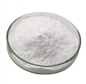 Großes verfügbares weißes Pulver chemisches Material Ester-Derivate cas195000-66-9 alpha-Methacryloxy-gama-Butyro lacton