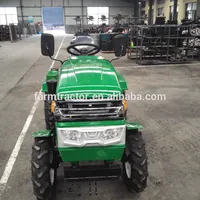 Small Mini Garden Tractor with CE EPA4 Engine for USA