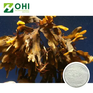 16% Alginezuur alginic polyfenol Zeewier Extract