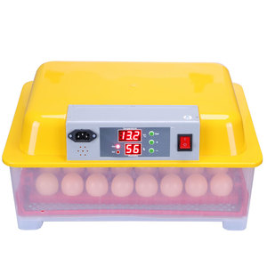 Ce phê duyệt tự động trứng giống WQ-32 - Product Image 2