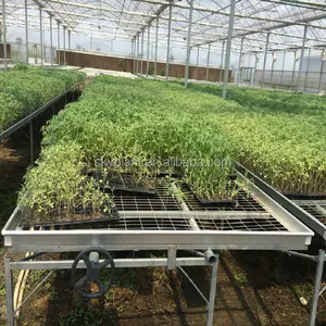 Agriculture Customized Greenhouse Seedbed seed bench for plants and garden vegetable