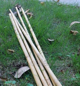 Poteaux durables en bambou Tonkin à paroi épaisse pour soutenir les plantes - Product Image 2