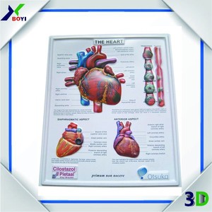Cheap custom 3d en relieve pvc impresión de carteles / médica carteles y gráficos - Product Image 1