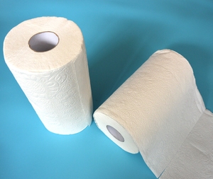 2 Ply Jumbo <strong>Paper</strong> Towel <strong>Kitchen</strong> <strong>Paper</strong> - Product Image 3