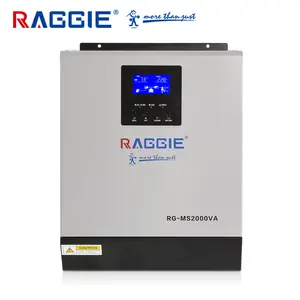 RAGGIE 2000W 24V Hybrid Off Grid Inverter With MPPT Controller DC 24V TO AC 220V