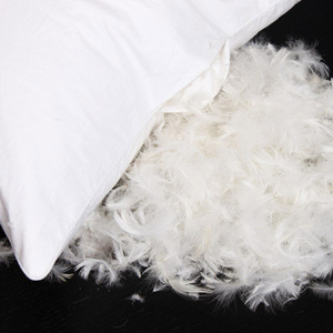 Duck Down and Small White <strong>Feather</strong> Filled Wheelchair Outdoor <strong>Cushion</strong> Set Throw Pillow <strong>Inserts</strong> - Product Image 4