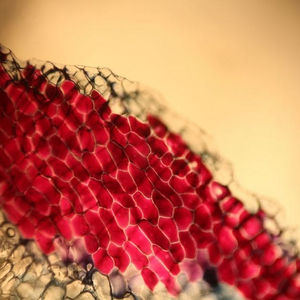 고정 set 50 개 basic 현미경 맞이해서 고객님들께 워터 슬라이드의 가르치는 워터 슬라이드의 대 한 중 · school 가르치는 - Product Image 1