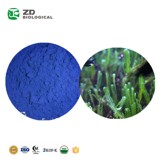Высококачественный антиоксидант, Микроводоросли, белок фикоцианин