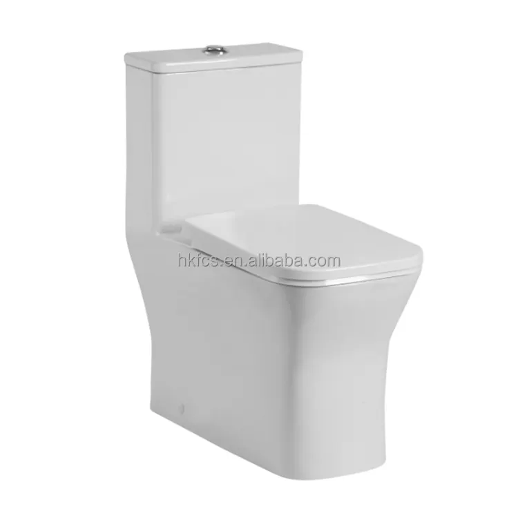 बेचैन एक टुकड़ा शौचालय, एडीए दोहरी-फ्लश पानी कोठरी 3099