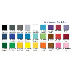 Hot Sale Wholesale Customizable Color 3m/1.6m Photography Equipment Background Stand Non Woven Backdrop