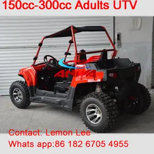 中国品牌 300cc 两栖 UTV 农用车