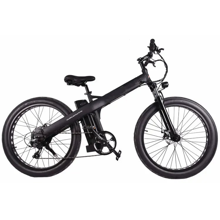 Sepeda Siklus Bertenaga Baterai, Sepeda Listrik dengan 10 Pasang Atas; Sepeda Listrik