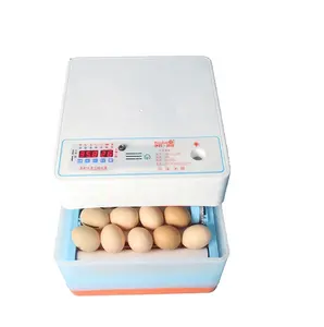 Incubadora automática de huevos de gallina, LN2-20 de 12V CC, alta tasa de eclosión