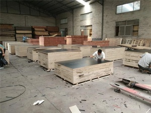 <span class=keywords><strong>Contreplaqué</strong></span> marin résistant à l'eau, pas cher et imperméable, 18 mm, 25 mm, 30 mm, prix sur le marché de la construction aux Émirats arabes unis - Product Image 6