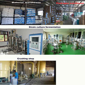 Con Ngựa Lactobacillus Acidophilus Thức Ăn Chăn Nuôi 1 - Product Image 6