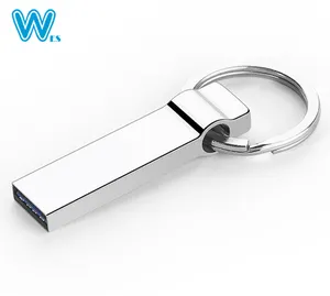 Promotional Metal Keychain USB Flash Drive Waterproof Pen Drive Key Ring in Various Capacities 1GB 2GB 4GB 8GB 16GB 32GB 64GB