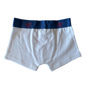 ชุดชั้นในเด็กชายน่ารักและกางเกงนักมวยเด็กชายลายดาว - Product Image 3