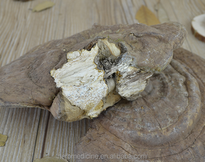 Hotsale funghi sfusi crudi essiccati bene <span class=keywords><strong>Ganoderma</strong></span> applanatum in vendita - Product Image 4