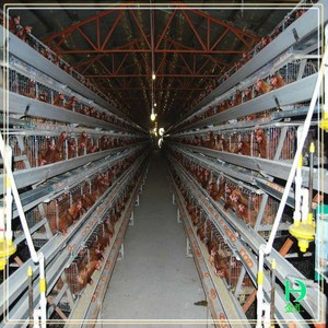 <span class=keywords><strong>La</strong></span> ferme de volaille automatique prix batterie cages oiseaux, Coops de poulet designs à vendre - Product Image 1